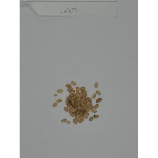 Organic Short Brown Rice