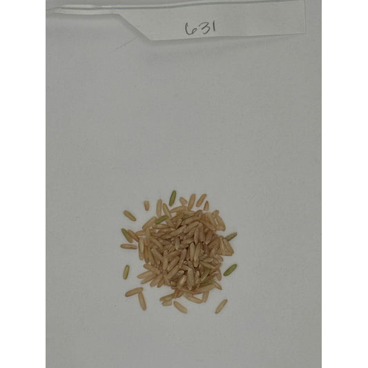 Organic Long Brown Rice