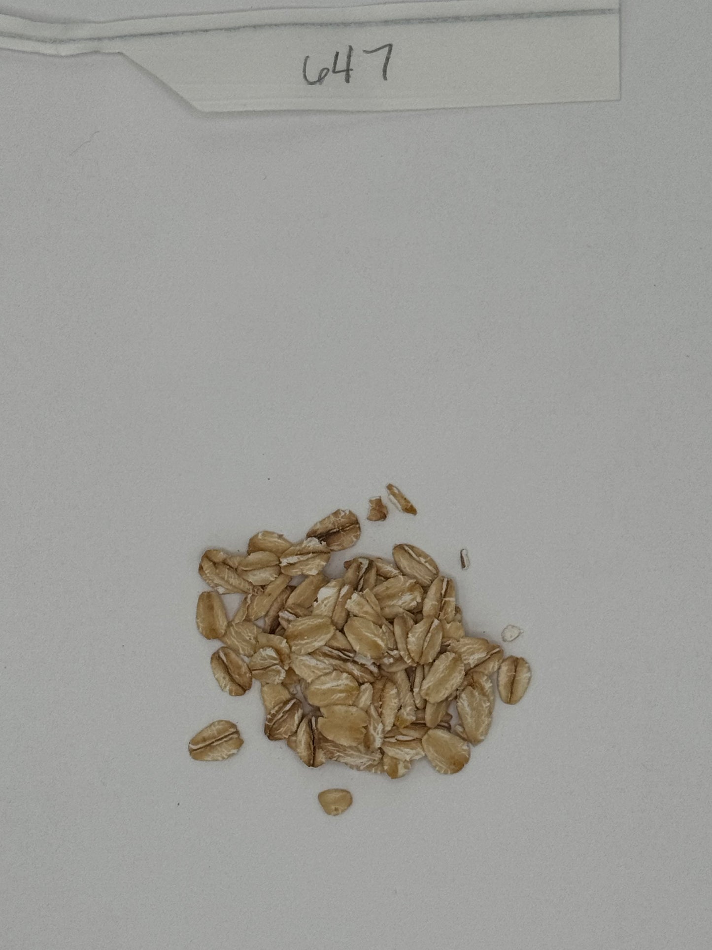 Organic Regular Rolled Oats