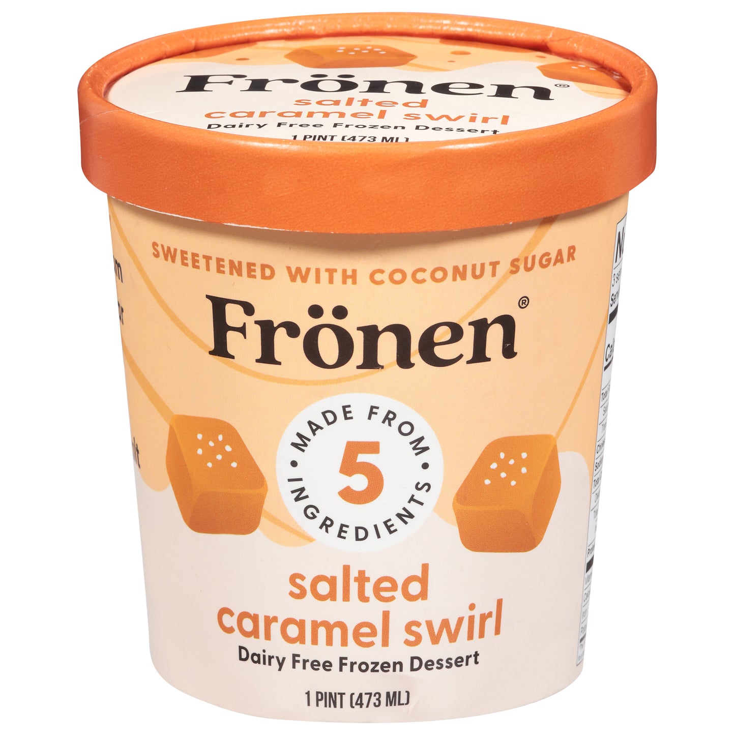 Fronen Dairy Free Salted Caramel Swirl Frozen Dessert 1 pt