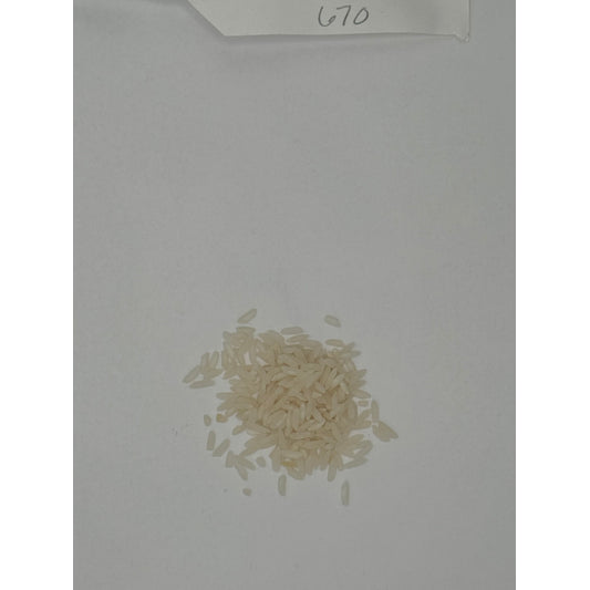 OG White Basmati Rice