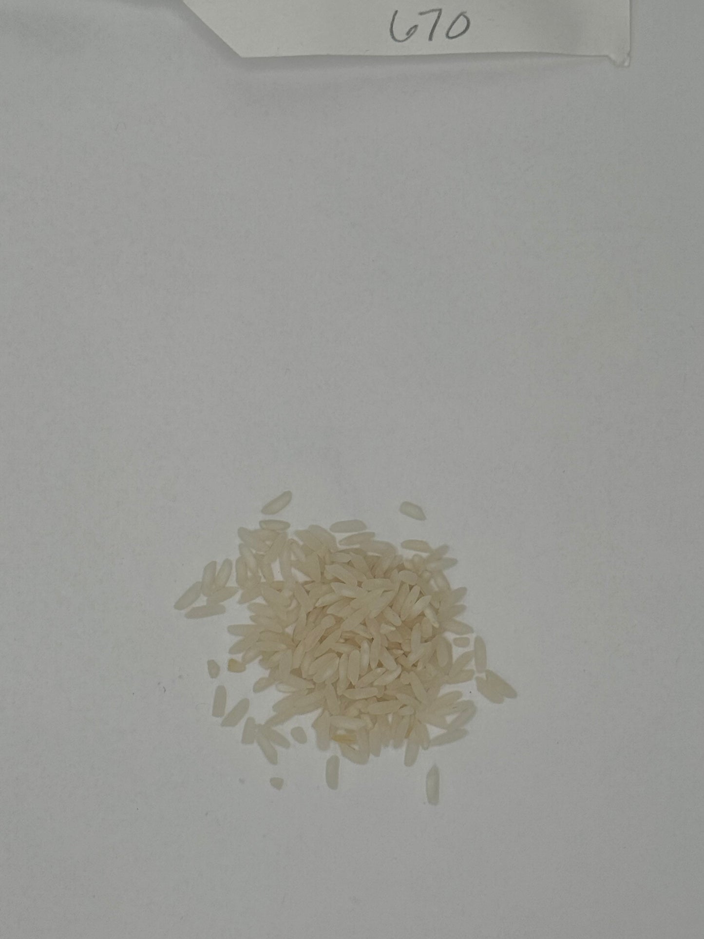OG White Basmati Rice