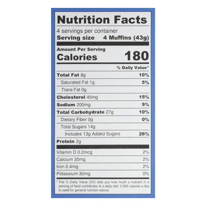 Katz Blueberry Muffin Snacks 4 Snack Packs