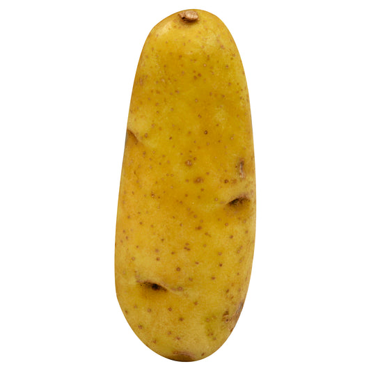 Organic Sunburst Potato