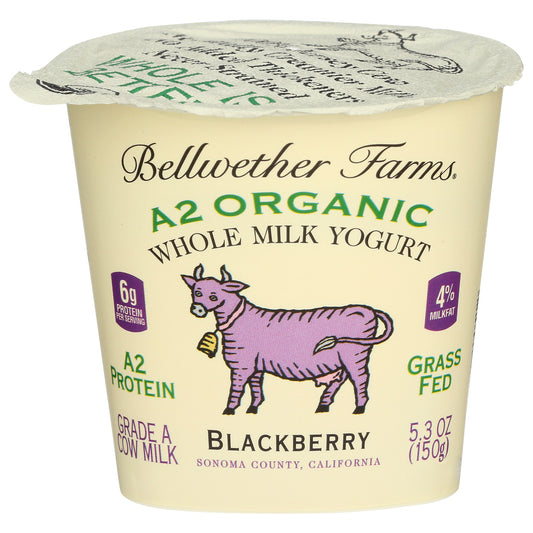 Bellwether Farms, Organic Bf Wm Yogurt Blackberry, 5.3 Oz