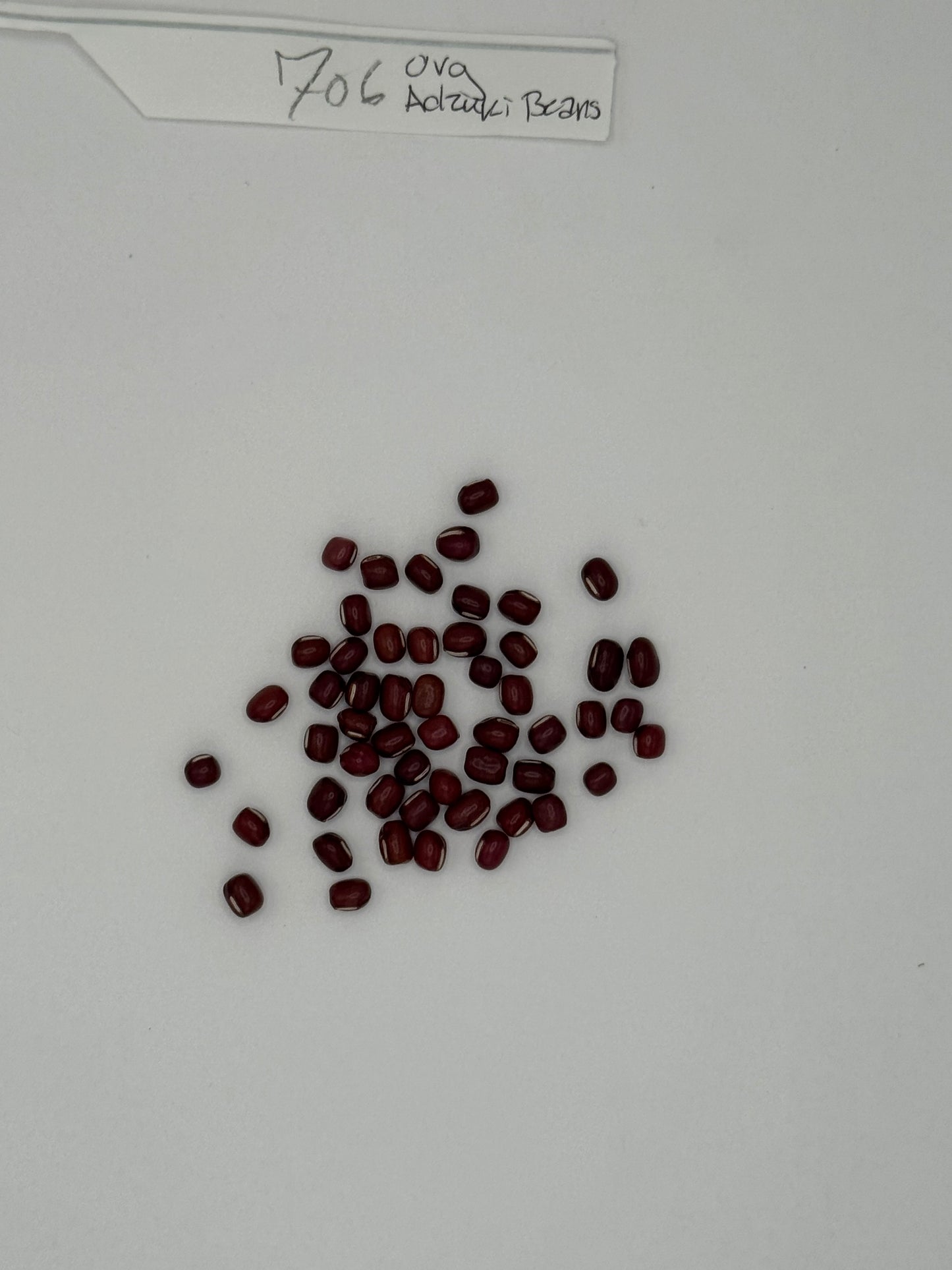 OG Adzuki Beans