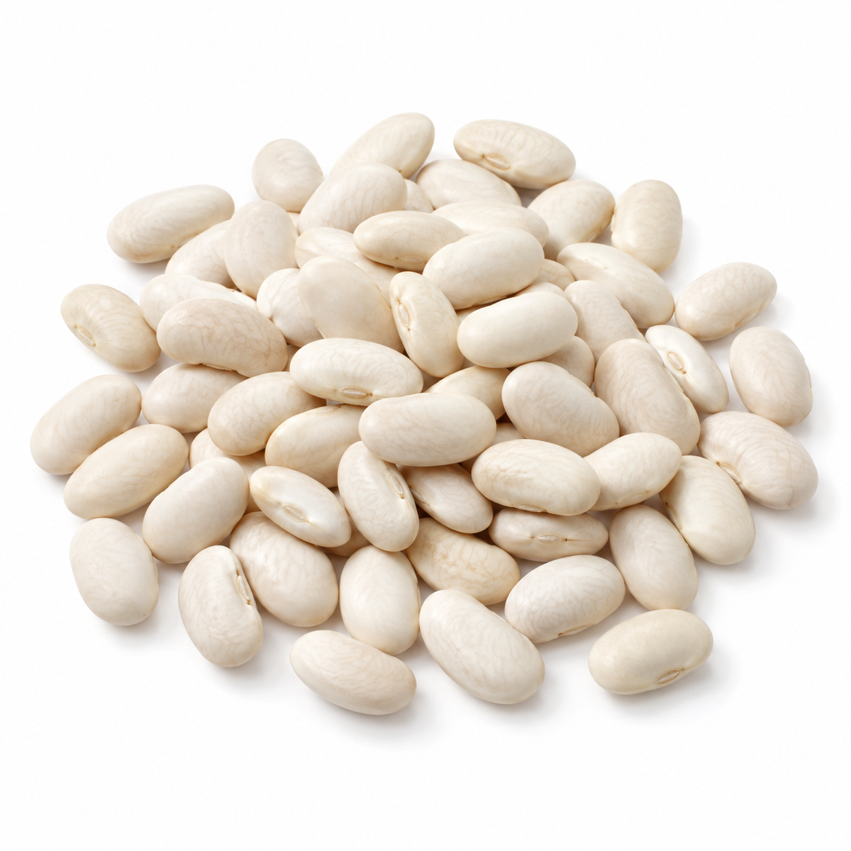 Organic Great Northern Beans