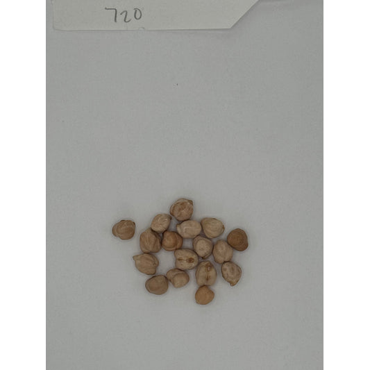 OG Garbanzo Beans