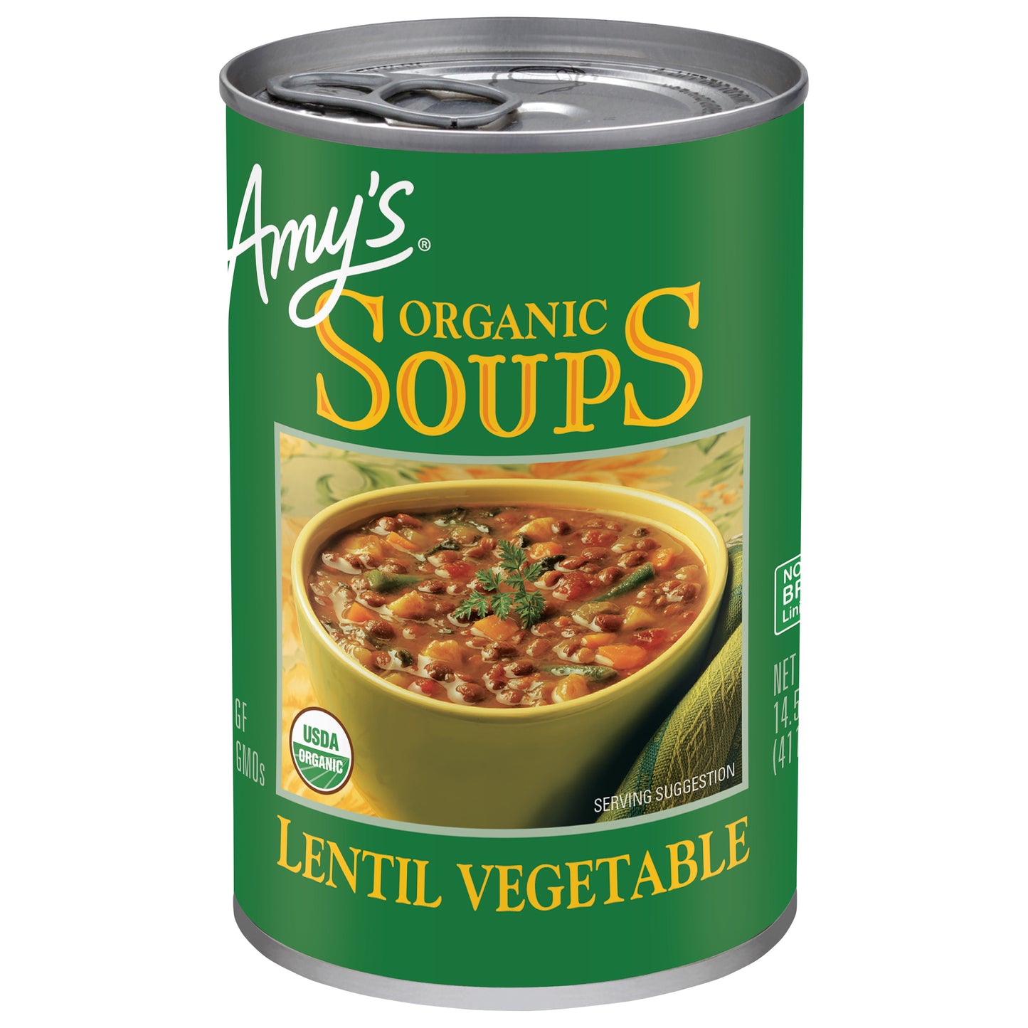 Lentil Vegetable Soup