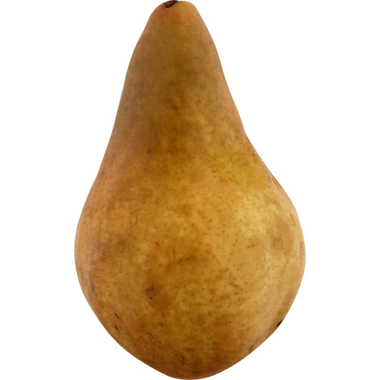Bosc Pear