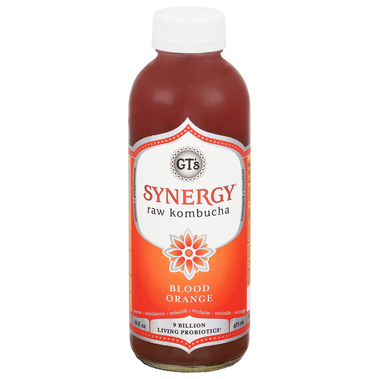 GT's Synergy Raw Blood Orange Kombucha 16 fl oz