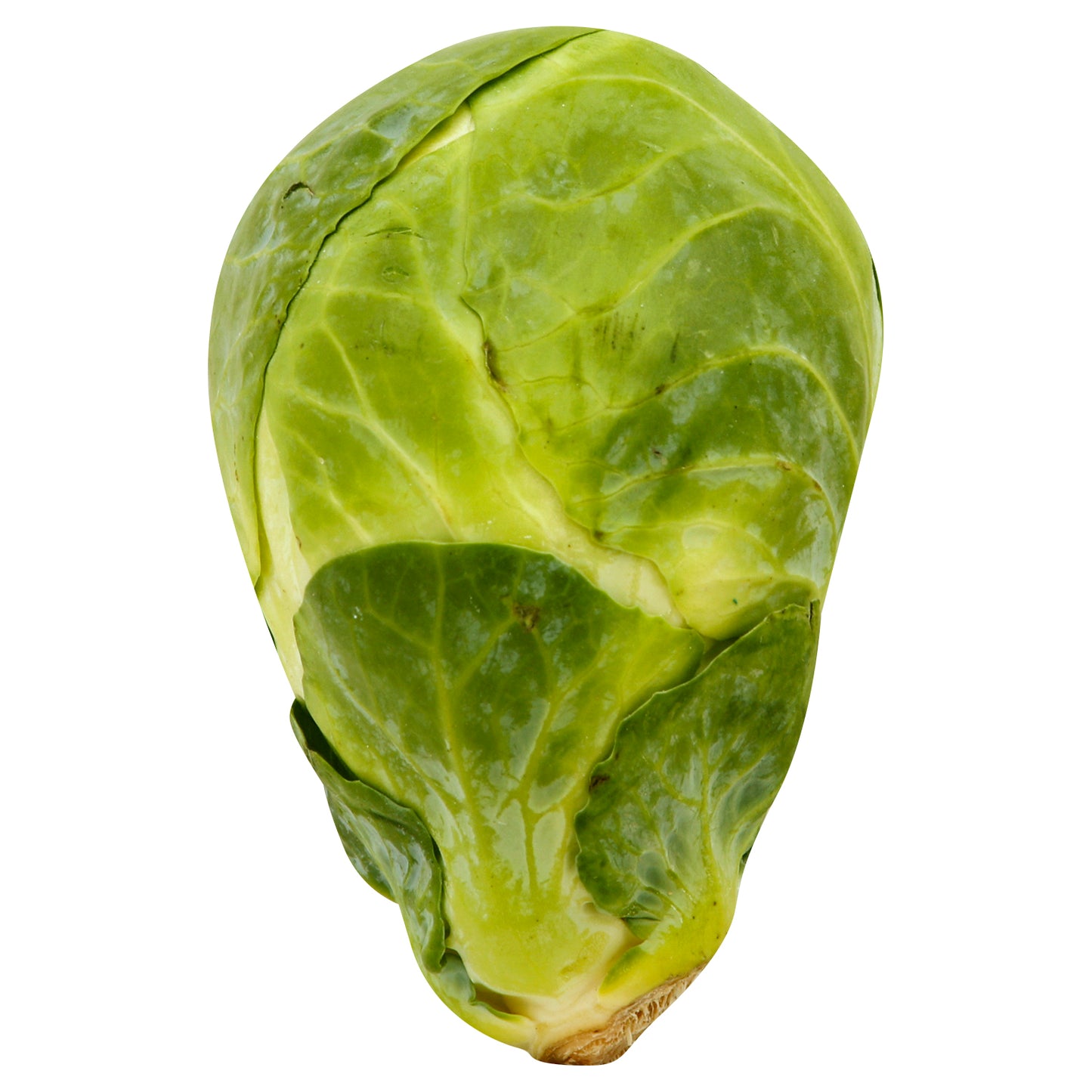 Organic Brussel Sprout
