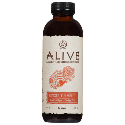 GT's Alive Ginger Turmeric Ancient Mushroom Elixir 16 fl oz