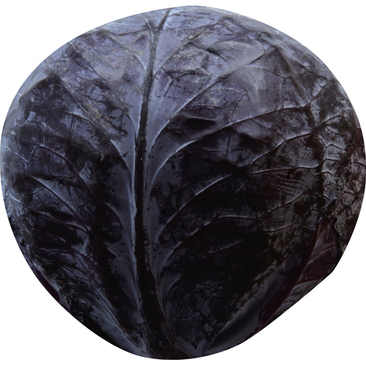 Red Cabbage