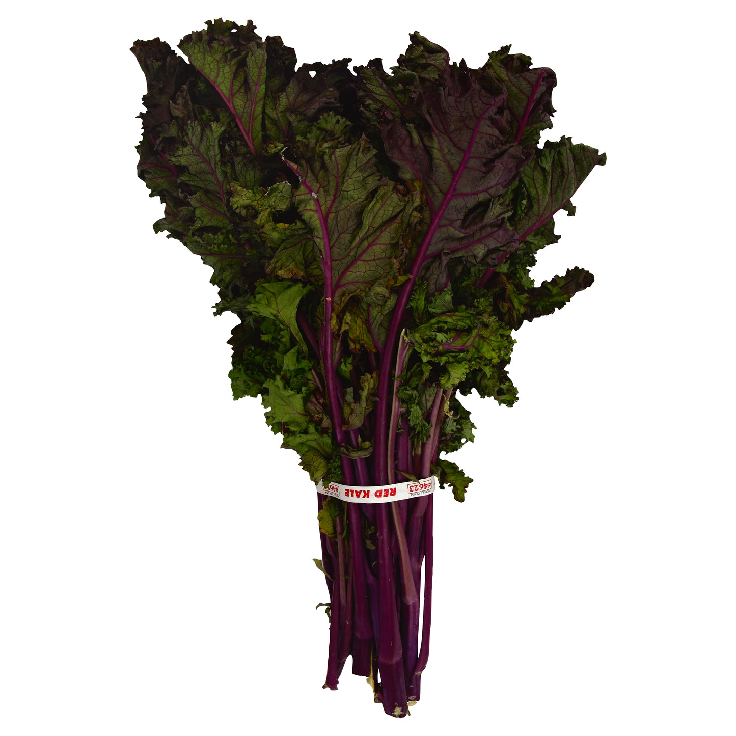 Red Kale