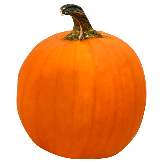 Large Pumpkin