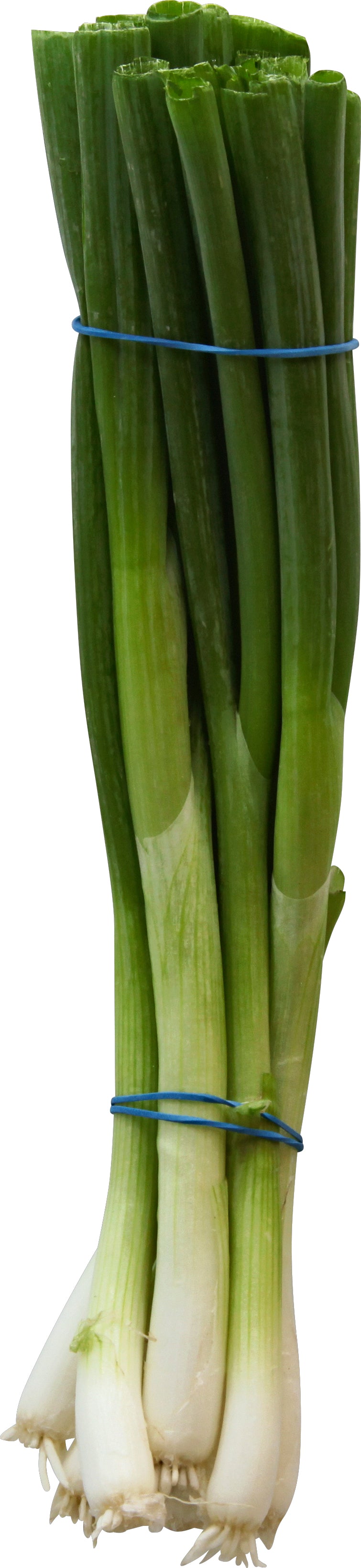 Green Onions/Scallions