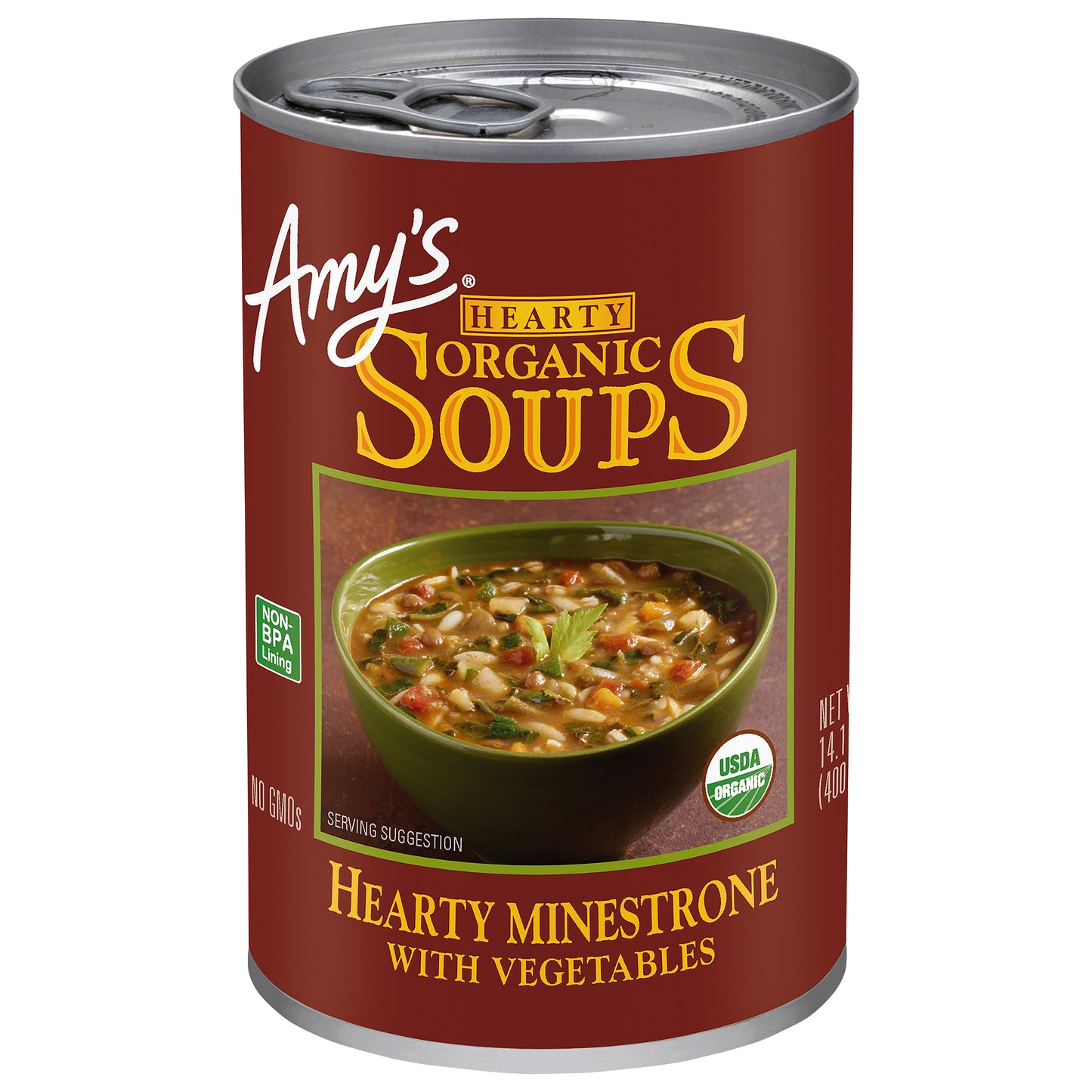 Hearty Minestrone with Vegetables Soup