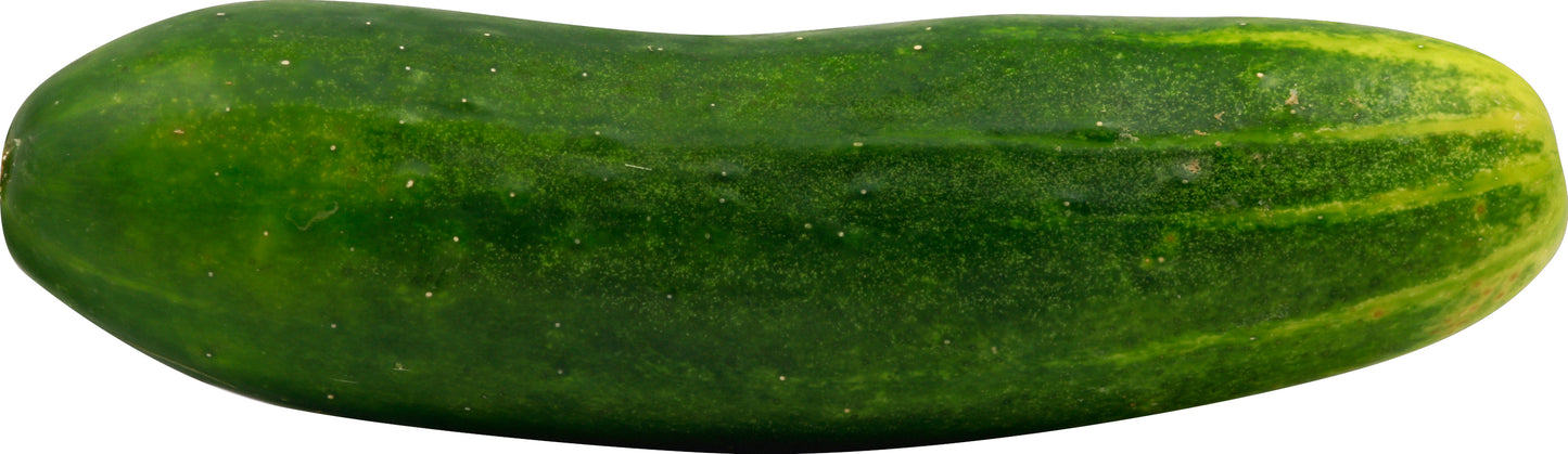 Cucumber