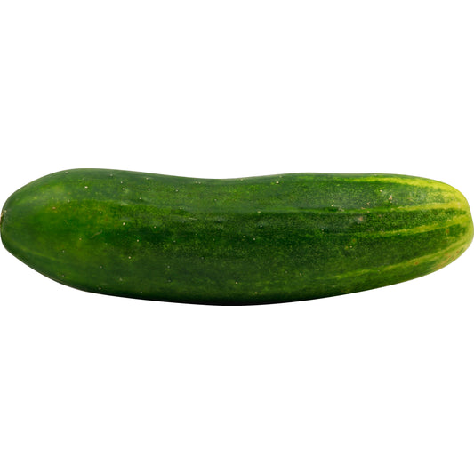 Pickling Cucumbers