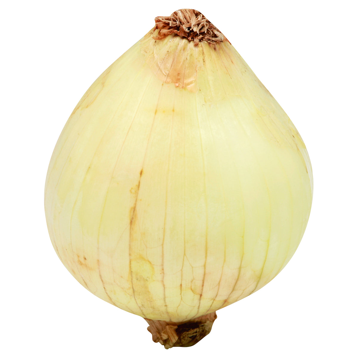 Organic Bagged Yellow Onions