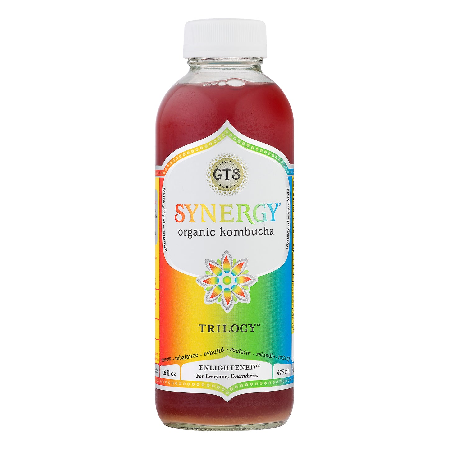 GT's Synergy Organic Trilogy Kombucha 16 fl oz