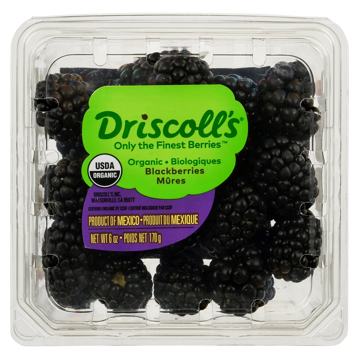 Driscoll's Organic Blackberries 6 oz