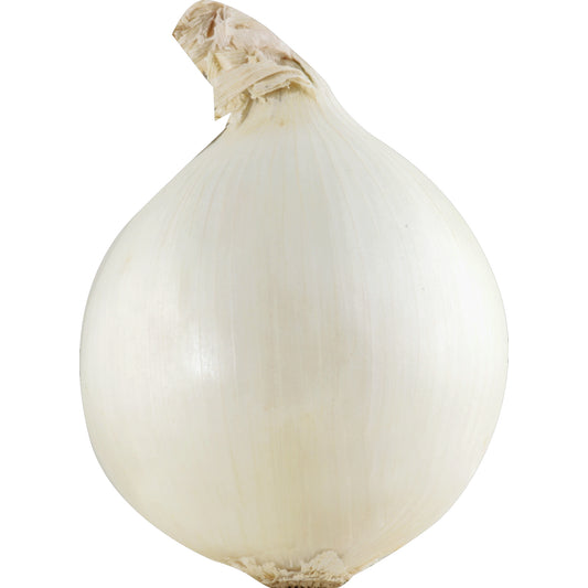 White Onion