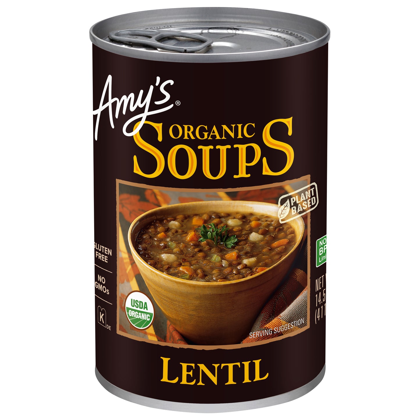Lentil Soup