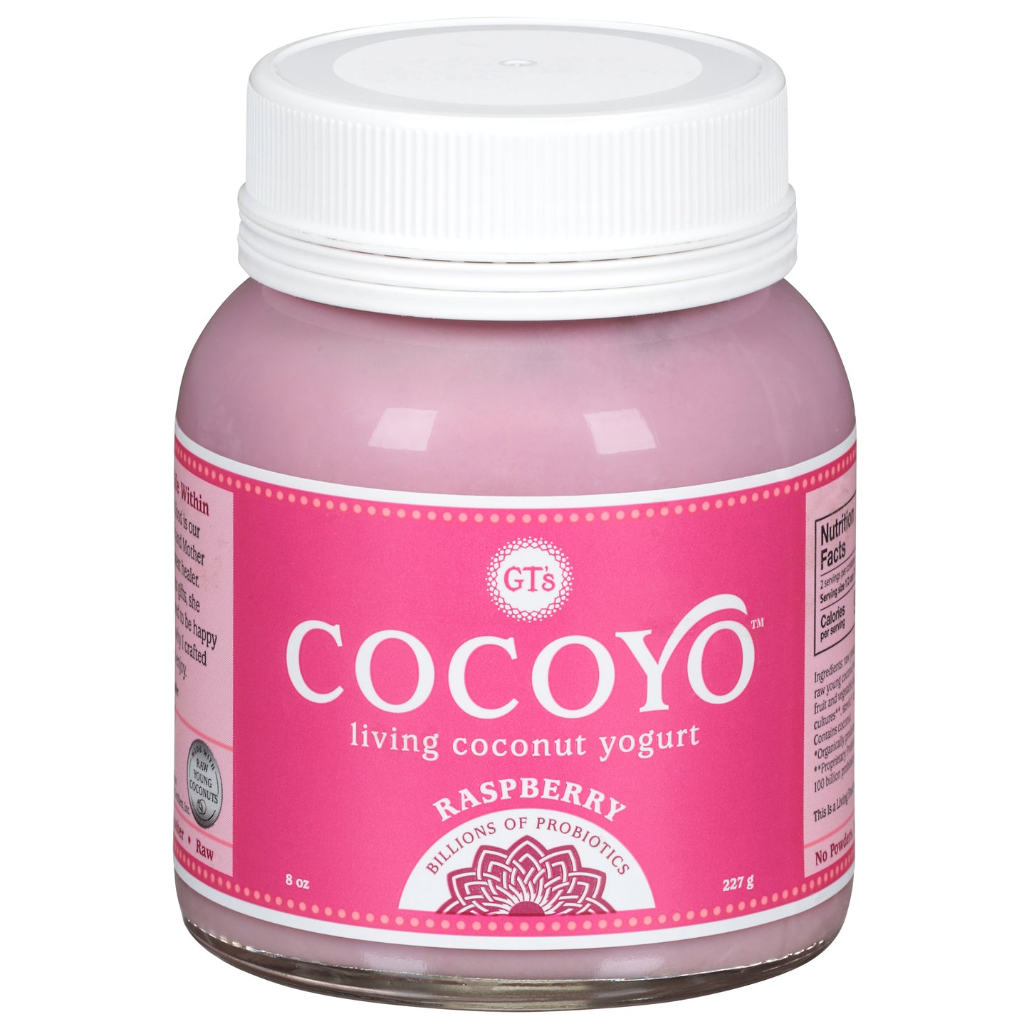 GT's Cocoyo Raspberry Coconut Yogurt 8 oz