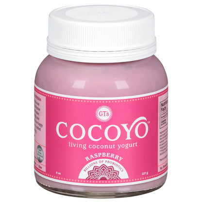 GT's Cocoyo Raspberry Coconut Yogurt 8 oz