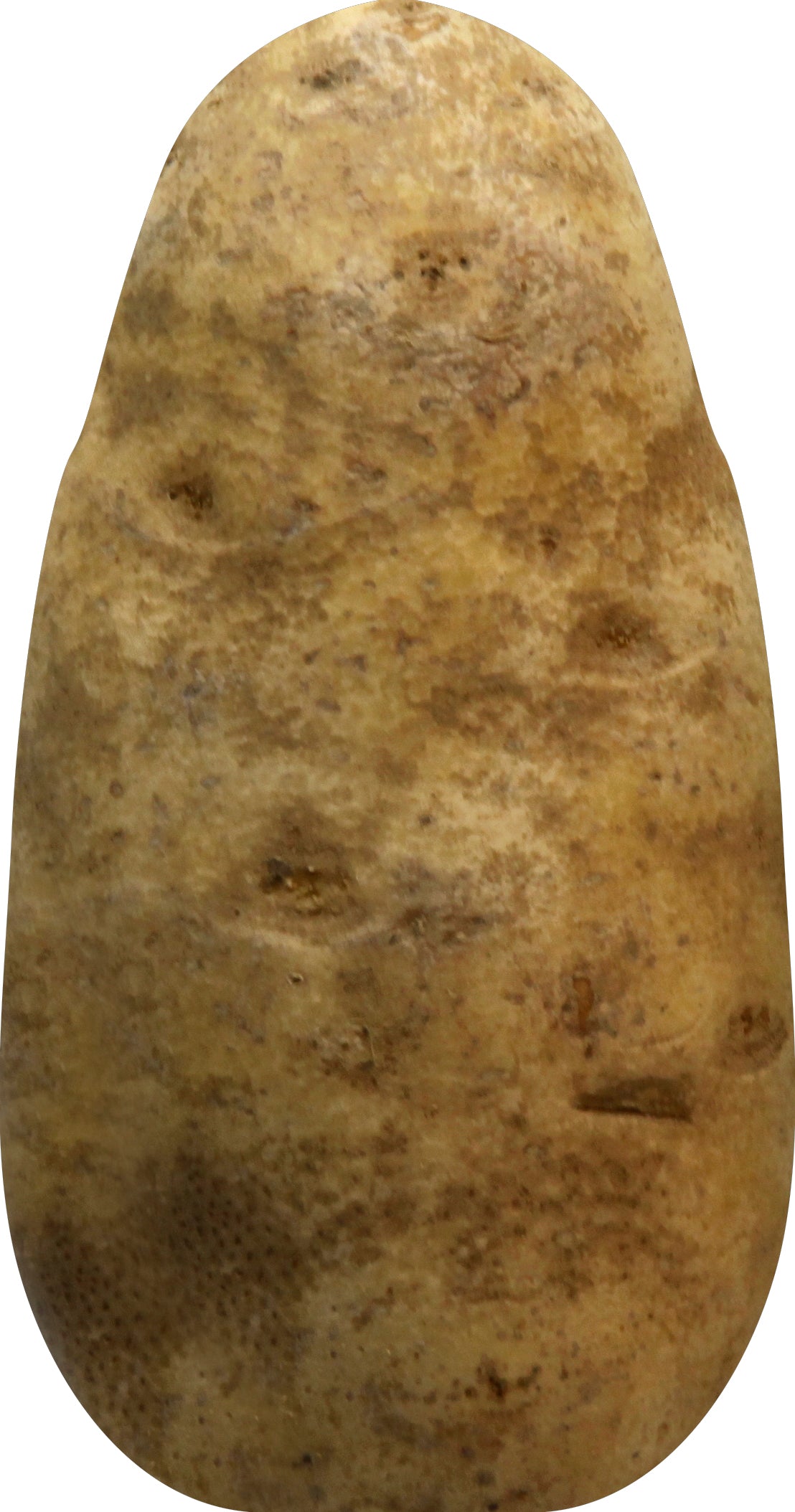 Organic Russet Potatoes 5lb Bag