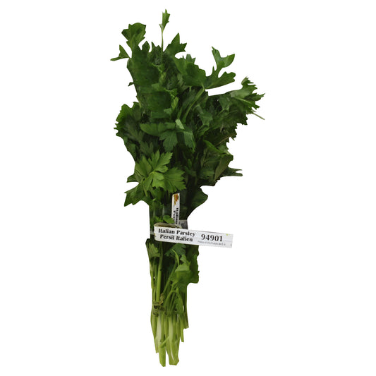 Italian Parsley