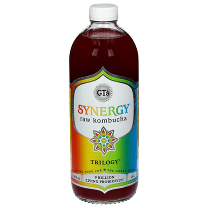 GT's Synergy Raw Trilogy Kombucha 48 fl oz