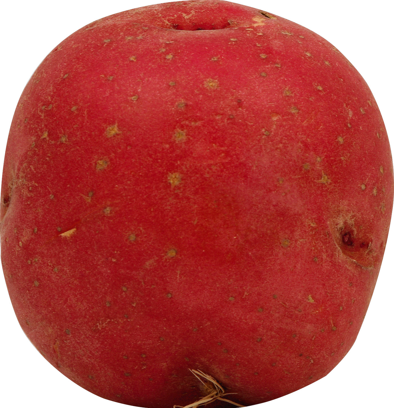 Red Potato