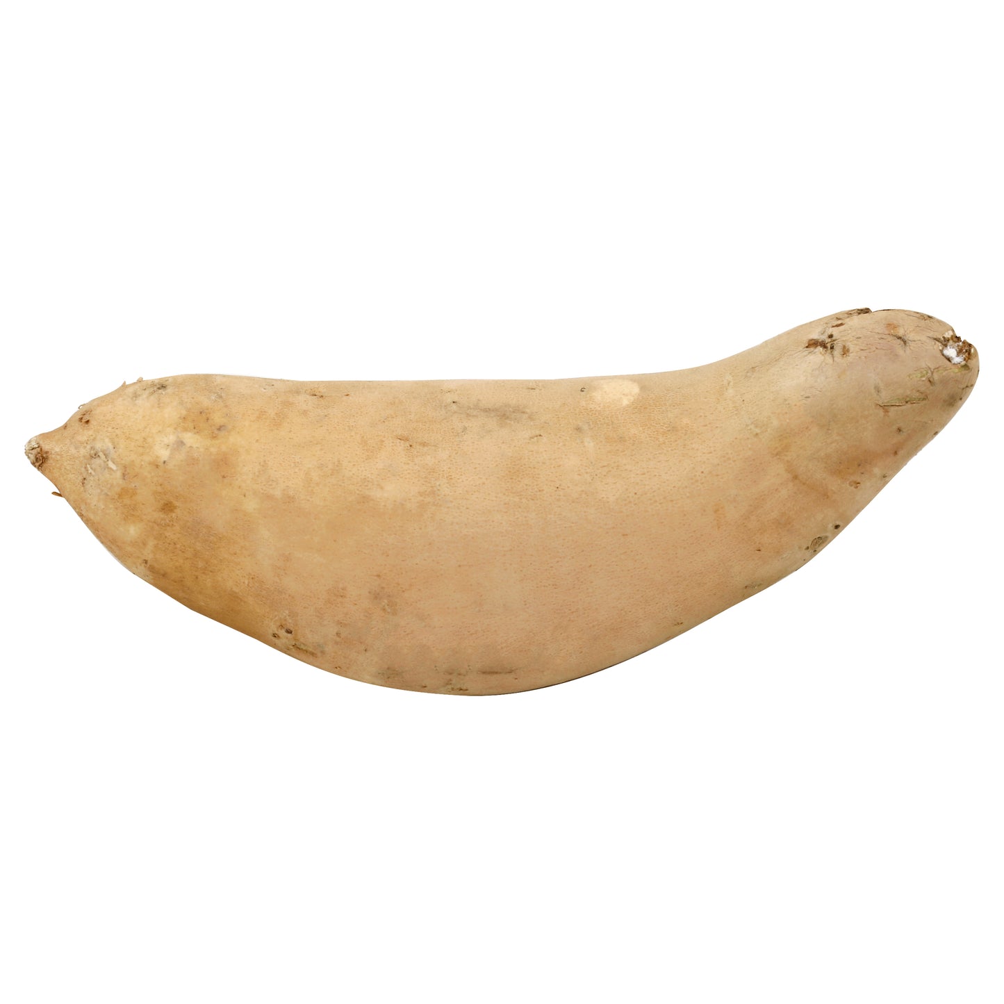 Golden Yam