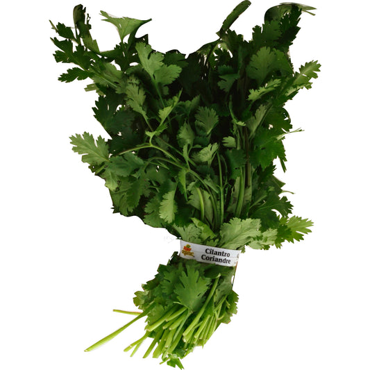 Microgreens Cilantro