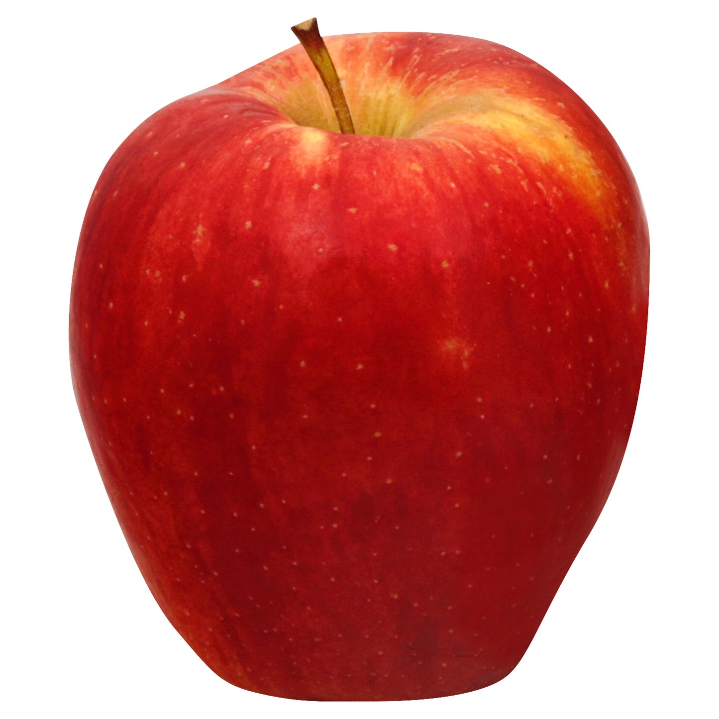 Ambrosia Apple