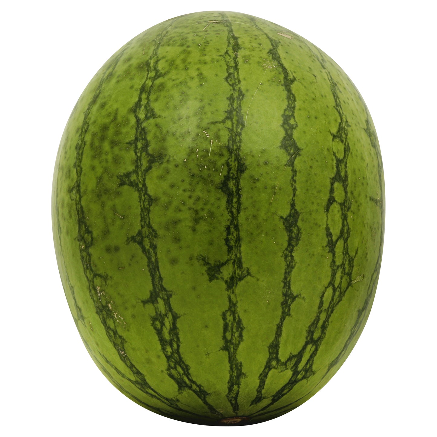 Organic Mini Watermelon