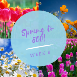 Spring to 500