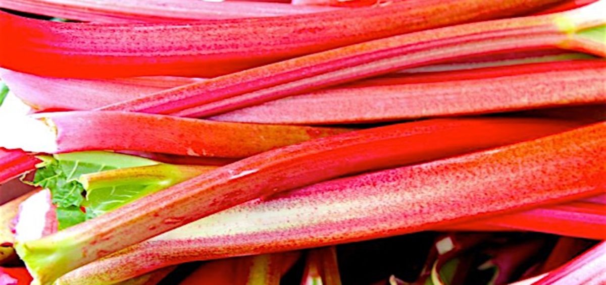 How to use Rhubarb stalks